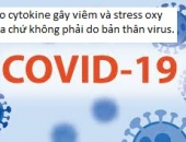 Hydro ngăn chặn các cơn bão cytokine chống CoVid